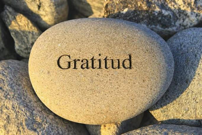 Gratitud, ingratitud y envidia
